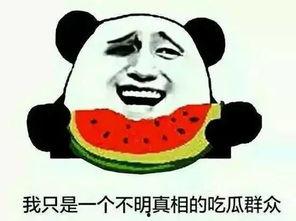 吃瓜群是什么群,网络社交新现象背后的故事